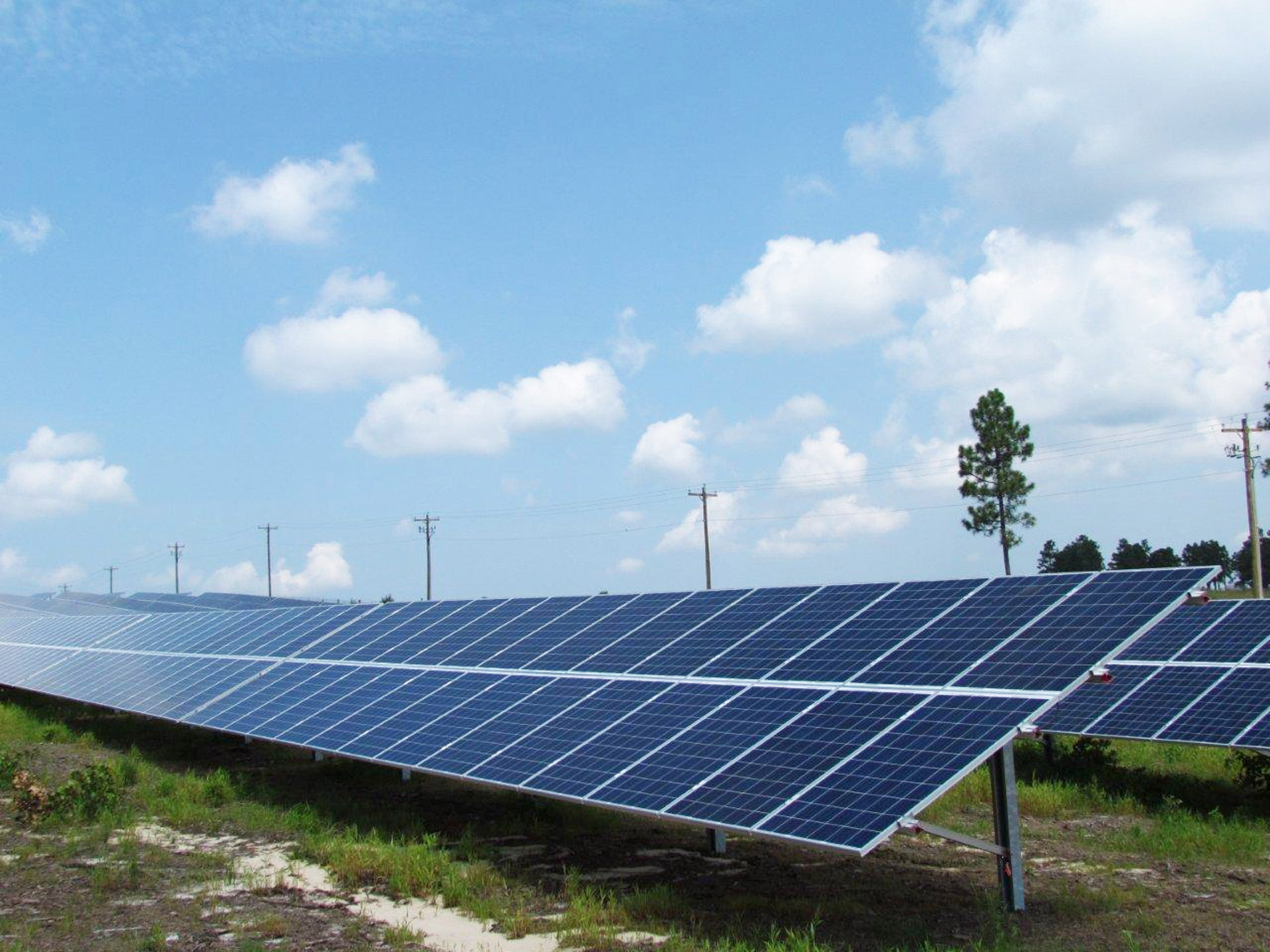 Solar Farm, North Carolina Timberland Investment Resources