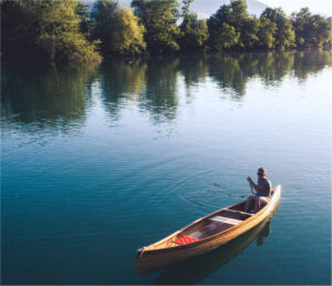 Person riding a canoe down a river next to a large forest.