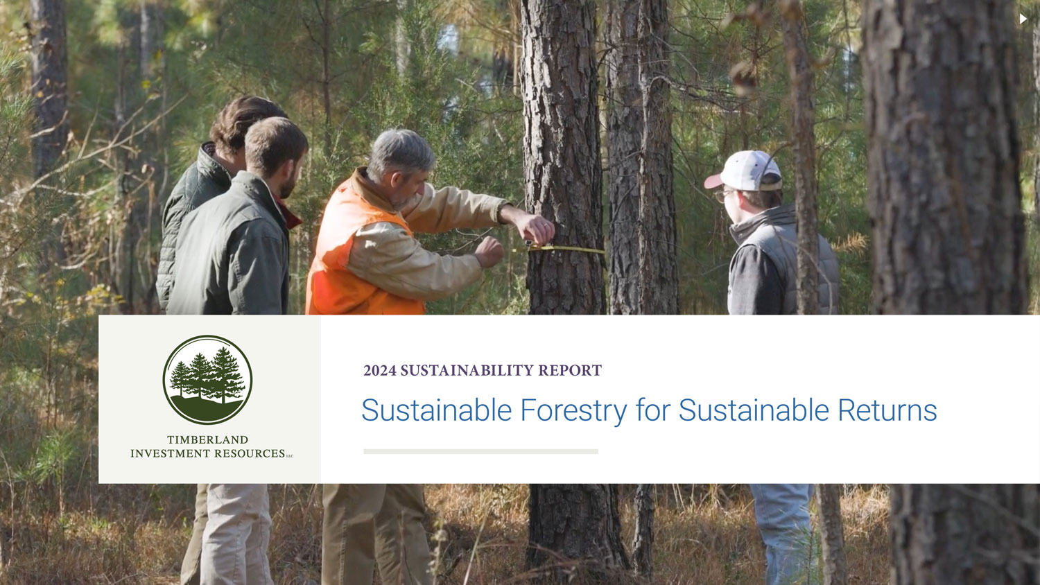2024 Sustainability Report: Sustainable Forestry for Sustainable Returns cover image.