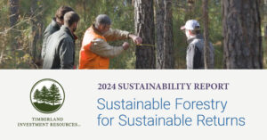 2024 Sustainability Report: Sustainable Forestry for Sustainable Returns.