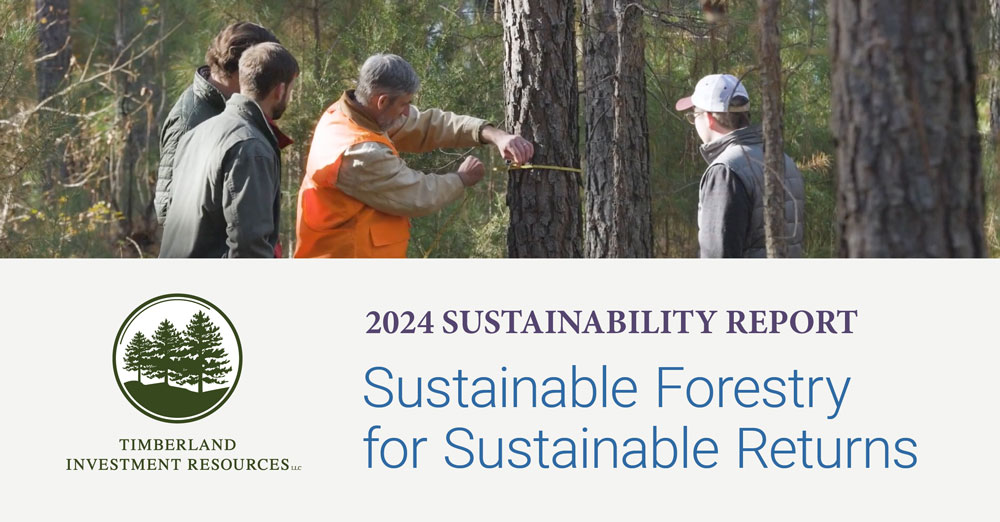 2024 Sustainability Report: Sustainable Forestry for Sustainable Returns.