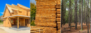 Three images side-by-side of a home under construction, a stack of lumber, and a timber forest.