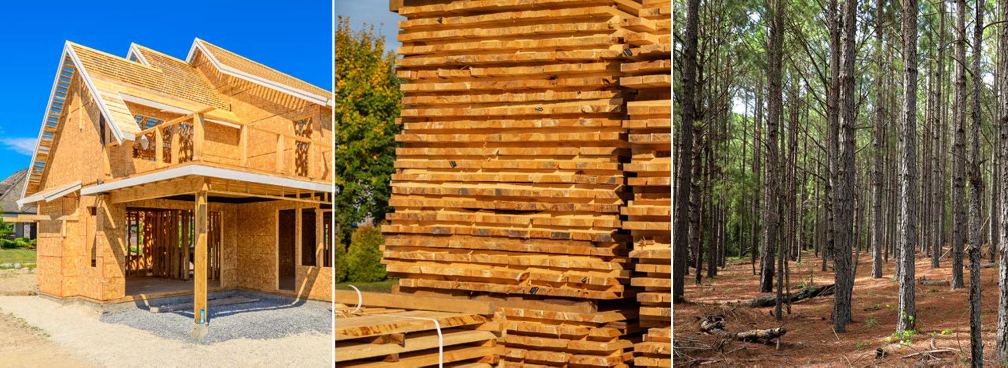 Three images side-by-side of a home under construction, a stack of lumber, and a timber forest.