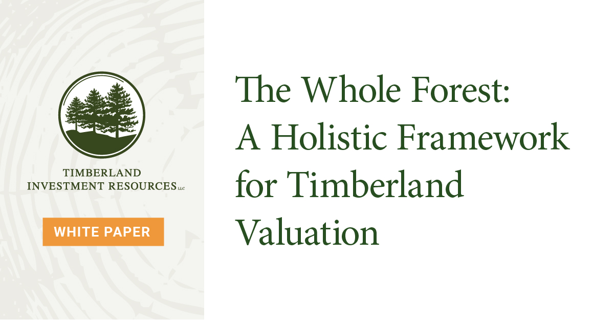 Thumbnail image for TIR white paper with the title "The Whole Forest: A Holistic Framework for Timberland Valuation."