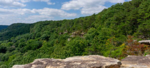 Photograph overlooking heavily forested mountainside in Savage Gulf State Park in the South Cumberland Mountains of Tennessee.