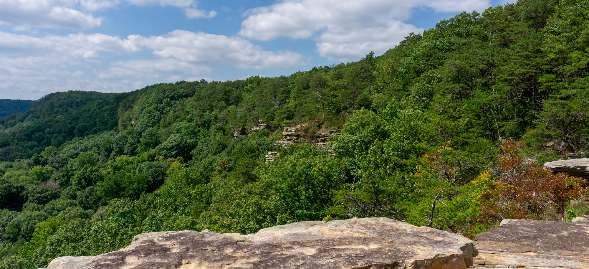 Photograph overlooking heavily forested mountainside in Savage Gulf State Park in the South Cumberland Mountains of Tennessee.