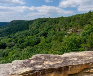 Photograph overlooking heavily forested mountainside in Savage Gulf State Park in the South Cumberland Mountains of Tennessee.