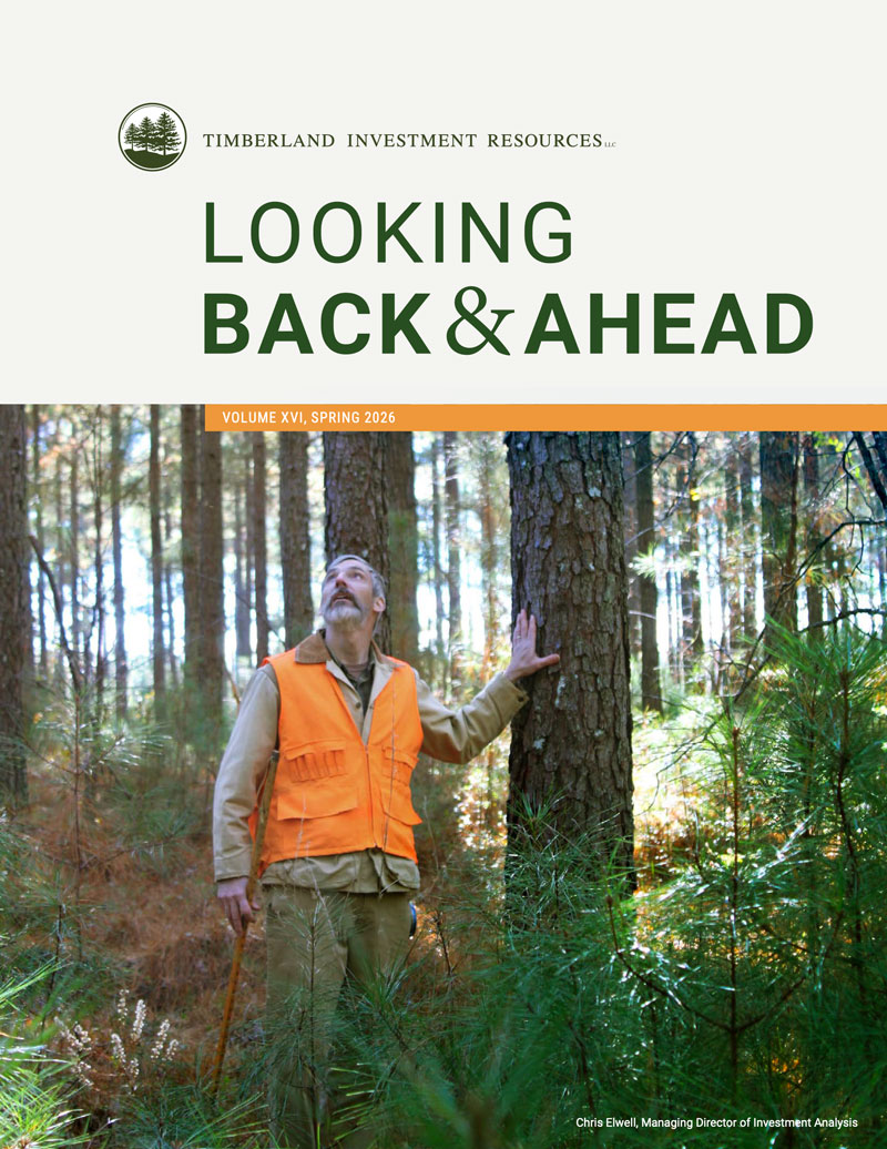 Thumbnail image of cover of TIR's newsletter, Looking Back & Ahead.