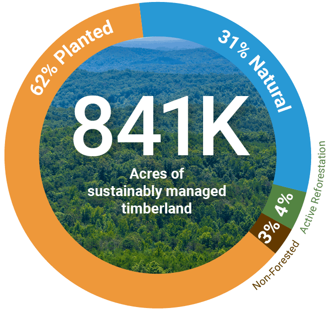 Pie chart showing TIR's 841K acres of sustainably managed timberland: 62% planted, 31% natural, 4% active reforestation and 3% non-forested.