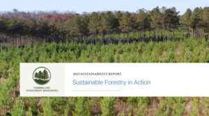 Image of cover of 2025 Sustainability Report